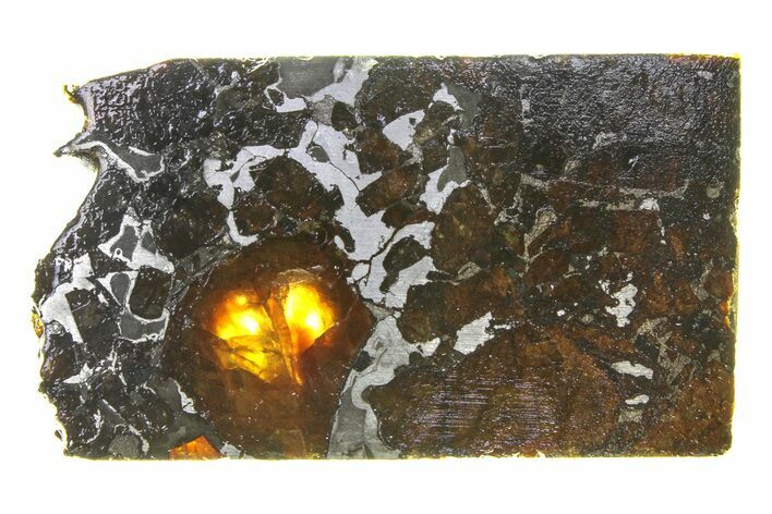 Brahin Pallasite Meteorite ( g) Slice - Belarus #294816